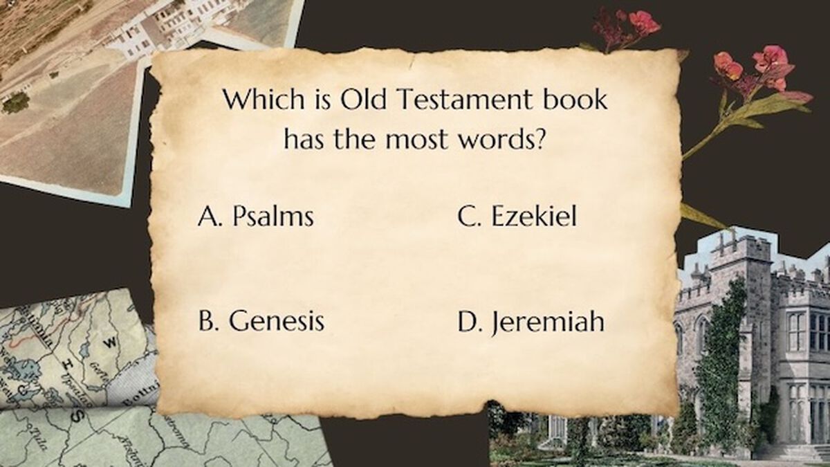 Bible Buff Old Testament Vol. 2 image number null